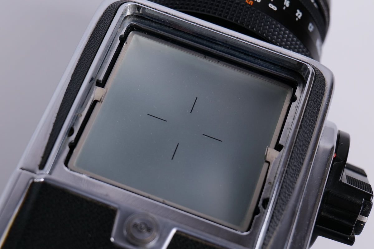 Hasselblad 500 C/M & Zeiss Planar CF 80mm f/2.8 T*