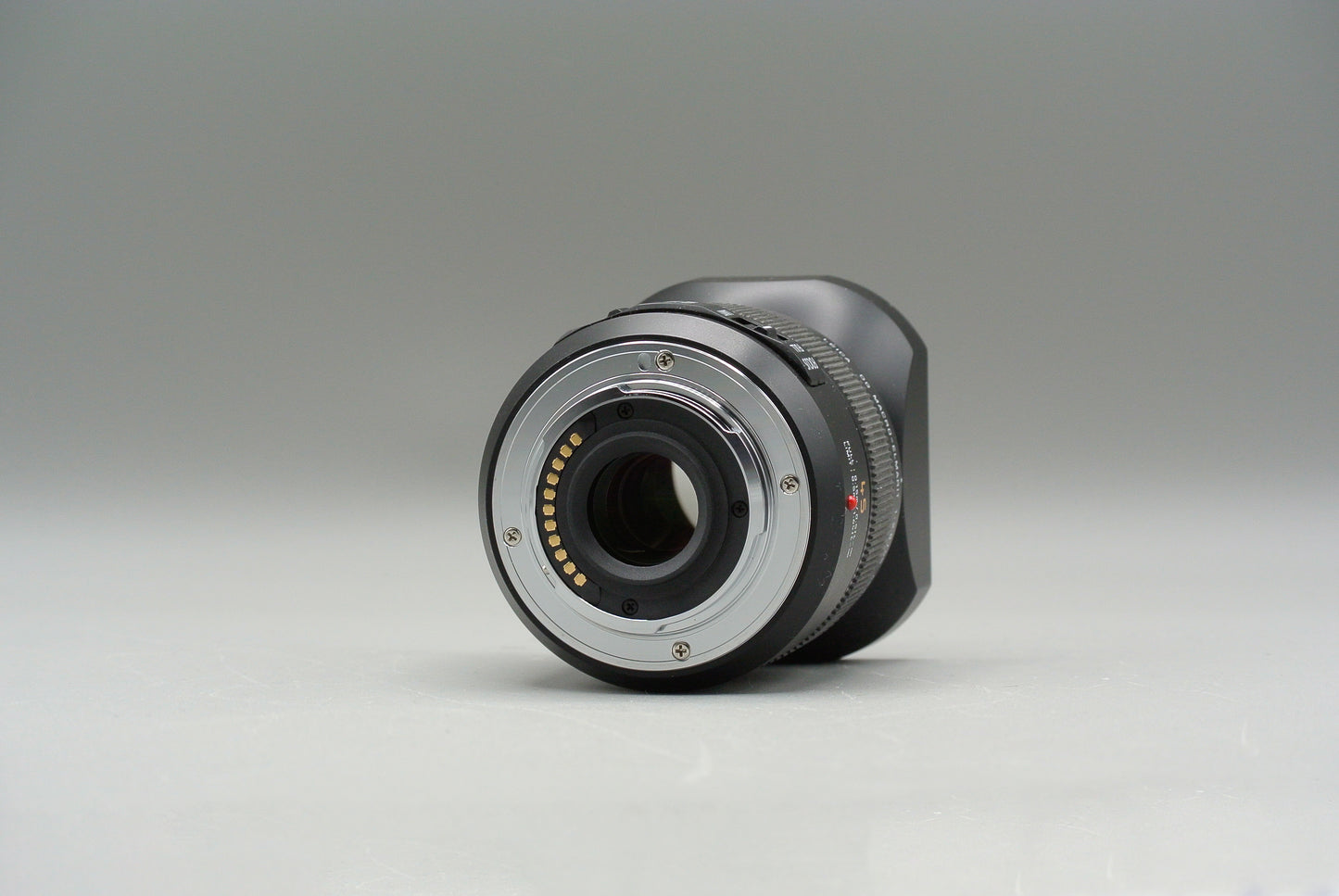 Leica DG Macro-Elmarit 45mm f2.8 MEGA O.I.S