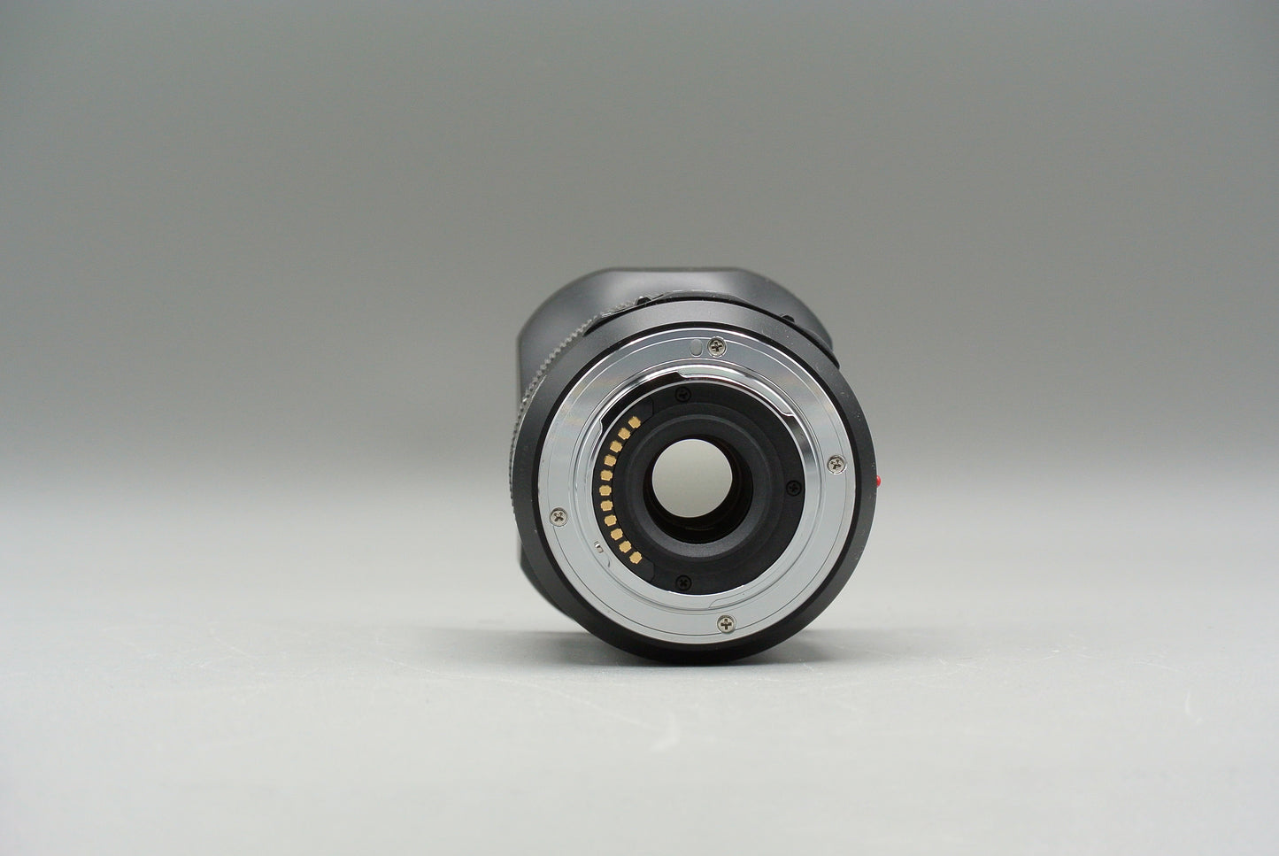Leica DG Macro-Elmarit 45mm f2.8 MEGA O.I.S